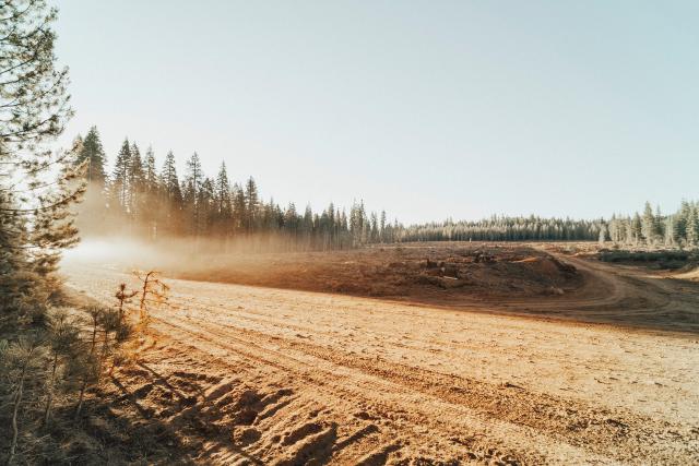 Image showing deforestation in Chester, CA, USA