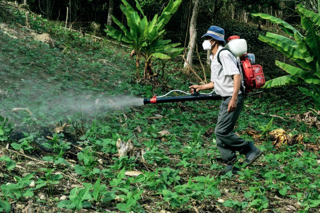 Image showing Man Spraying Pesticides in Wood